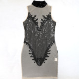Round Necked Sleeveless Transparent Sequin Wrapped Hip Dress