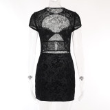 Flocking Lace Hollow Out Dress