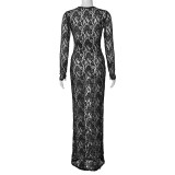 Hollow Lace Pattern Perspective Slim Fit Long Dress