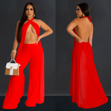 Two Piece Set of Backless Sleeveless Hanging Neck Pants
