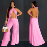 Two Piece Set of Backless Sleeveless Hanging Neck Pants