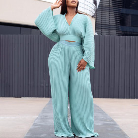Loose Pleated V-neck Top Wide Leg Pants Two-piece Set