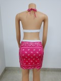 Two Piece Swimsuit Short Skirt Set