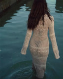 Hollow Knit Dress