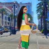 Fishing Net Contrasting Color Sleeveless Slit Beach Dress