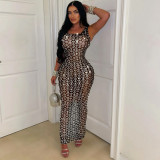 Mesh Perspective Dress