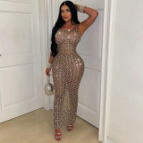 Mesh Perspective Dress