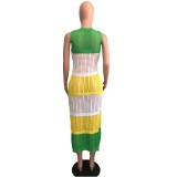Fishing Net Contrasting Color Sleeveless Slit Beach Dress