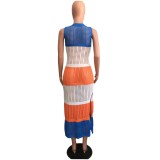 Fishing Net Contrasting Color Sleeveless Slit Beach Dress