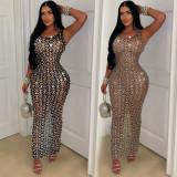 Mesh Perspective Dress