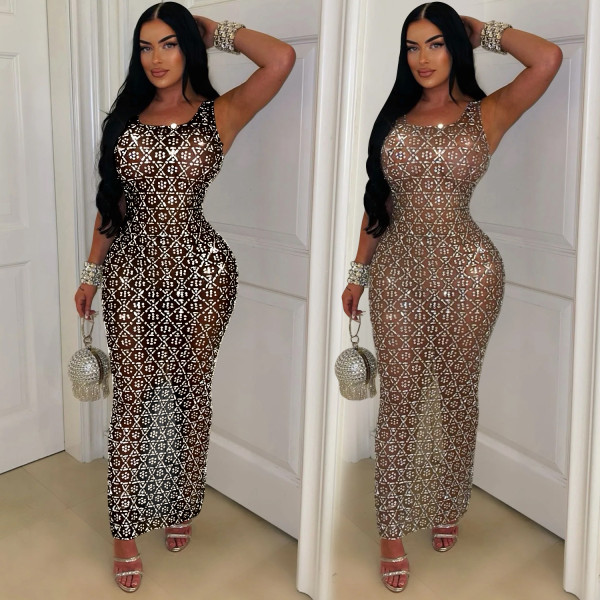 Mesh Perspective Dress