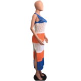 Fishing Net Contrasting Color Sleeveless Slit Beach Dress
