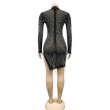 Mesh Perspective Hot Rolled Diamond Bubble Bead Tassel Round Neck Long Sleeved Dress