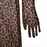 Leopard Print Round Neck Long Sleeved Backless Dress