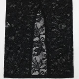 Perspective Lace Lace Up Backless Dress