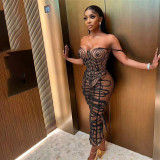 Striped Printed Mesh with Transparent Suspender Bra Buttocks and Skirt Set