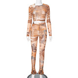 Mesh Printed Round Neck Long Sleeved Top Casual Pants Two-piece Set