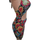 Hanging Neck Swimsuit with Elastic Band Dress