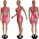 Hanging Neck Swimsuit with Elastic Band Dress