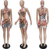 Hanging Neck Swimsuit with Elastic Band Dress