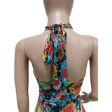 Hanging Neck Swimsuit with Elastic Band Dress