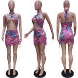 Hanging Neck Swimsuit with Elastic Band Dress