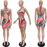 Hanging Neck Swimsuit with Elastic Band Dress