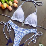 Blue and White Porcelain Printed Bikini