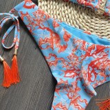 Printed Fringe Bikini Quick Selling Swimsuit