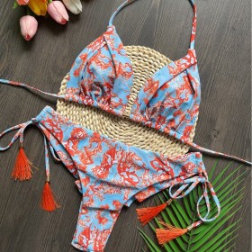 Printed Fringe Bikini Quick Selling Swimsuit