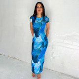 Printed Round Neck Short Sleeved High Waisted Dress