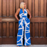 Printed Sleeveless V-neck Jumpsuit