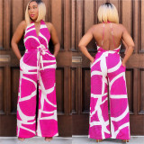 Printed Sleeveless V-neck Jumpsuit