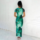 Printed Round Neck Short Sleeved High Waisted Dress