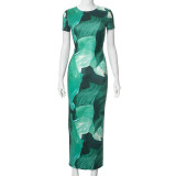 Printed Round Neck Short Sleeved High Waisted Dress