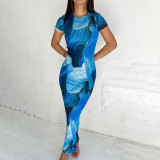 Printed Round Neck Short Sleeved High Waisted Dress