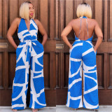 Printed Sleeveless V-neck Jumpsuit