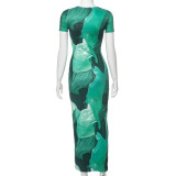 Printed Round Neck Short Sleeved High Waisted Dress