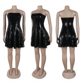 Sleeveless Strapless Waist Cinching Slim Fit Sequin Dress