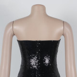 Sleeveless Strapless Waist Cinching Slim Fit Sequin Dress