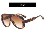 Conjoined Large Frame Sunglasses