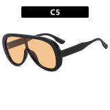 Conjoined Large Frame Sunglasses