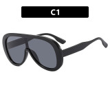 Conjoined Large Frame Sunglasses
