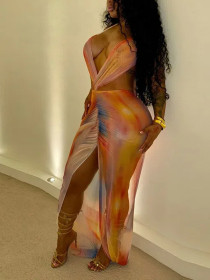 Hanging Neck Backless Lace Up Printed Mesh Patchwork Dress