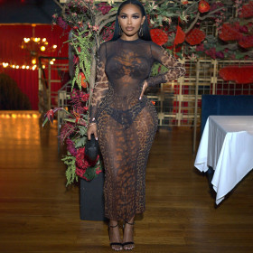 Mesh See Through Leopard Print Long Sleeved Dress