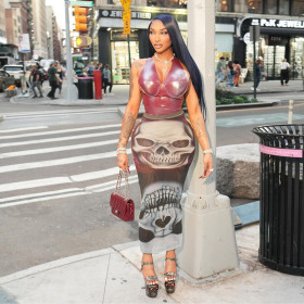 Mesh Printed Bag with High Hips and Waist Half Length Skirt