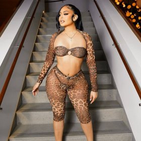 Leopard Mesh Print Long Sleeve Shawl See-through Suit