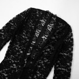 Lace See-through Zipper Nightclub Jumpsuit