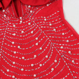 Hot Diamond Pearl Deep V Floral Stretch Dress