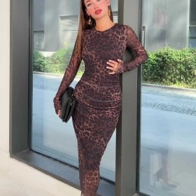Crew Neck Leopard Print Dress